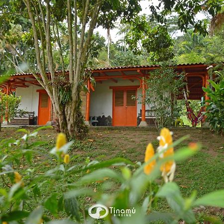 Hotel Tinamu Birding à La Manuelita Extérieur photo